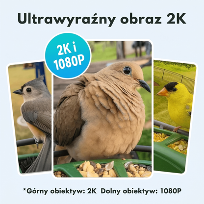 Inteligentny karmnik dla ptaków z kamerą – rozpoznawanie ptaków AI i nagrywanie wideo 2K